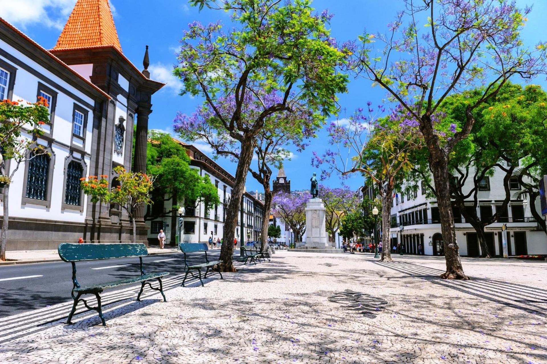 Art Deco Central Apartments, Funchal Экстерьер фото